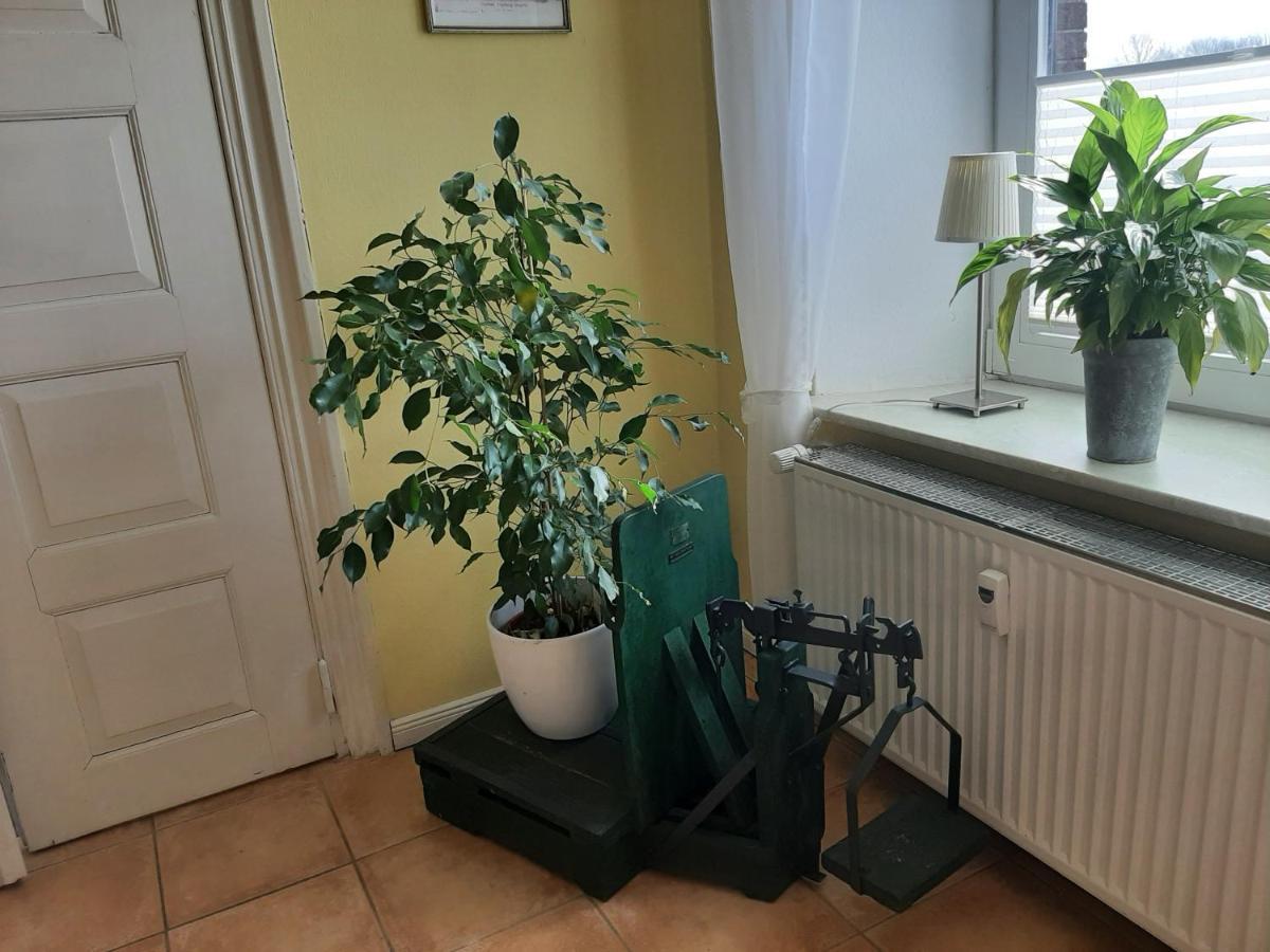 Schoene Ferienwohnung Im Alten Gasthaus In Stoltebuell 외부 사진